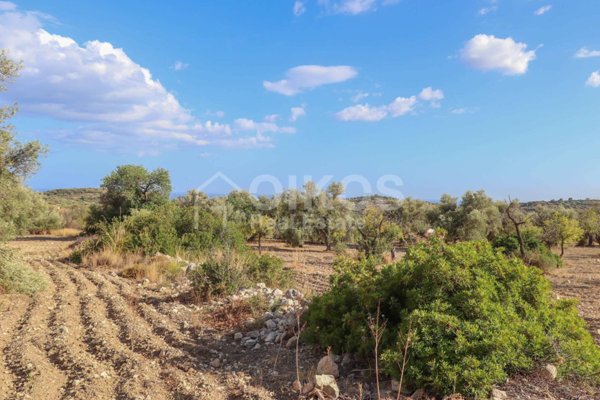 terreno agricolo in vendita ad Avola