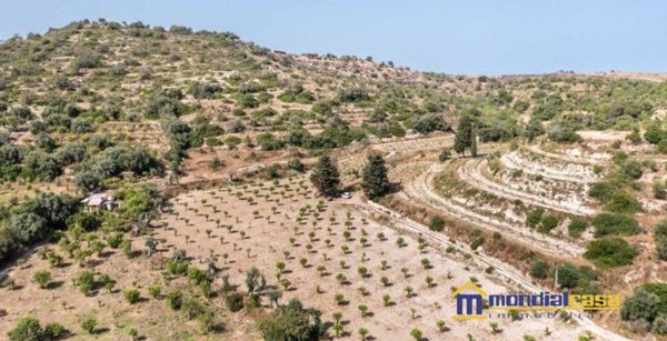 appartamento in vendita ad Avola