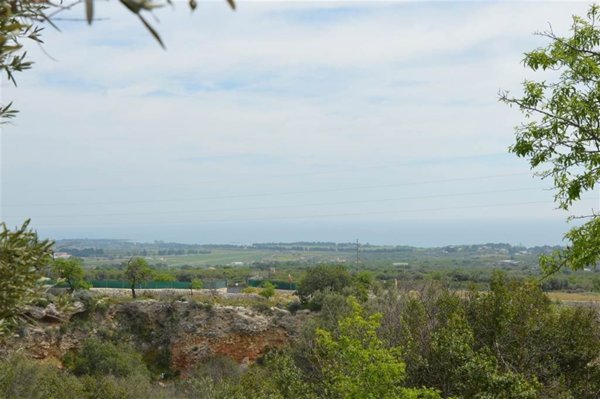 terreno agricolo in vendita ad Avola