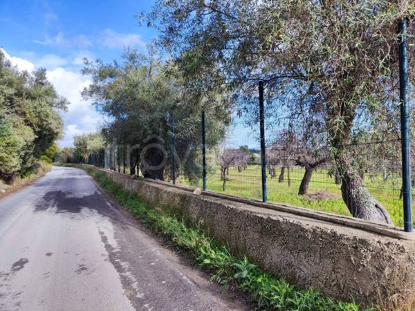 terreno agricolo in vendita ad Avola