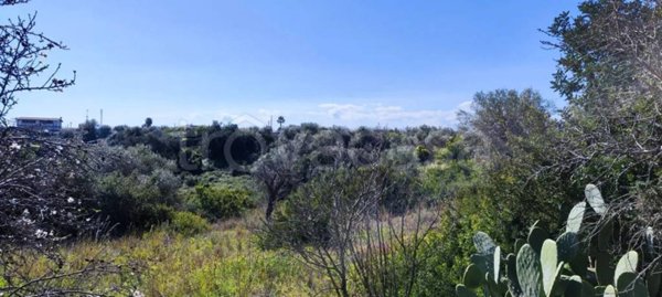 terreno agricolo in vendita ad Avola
