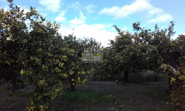locale di sgombero in vendita ad Avola
