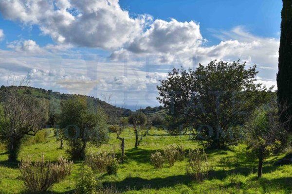 terreno agricolo in vendita ad Avola