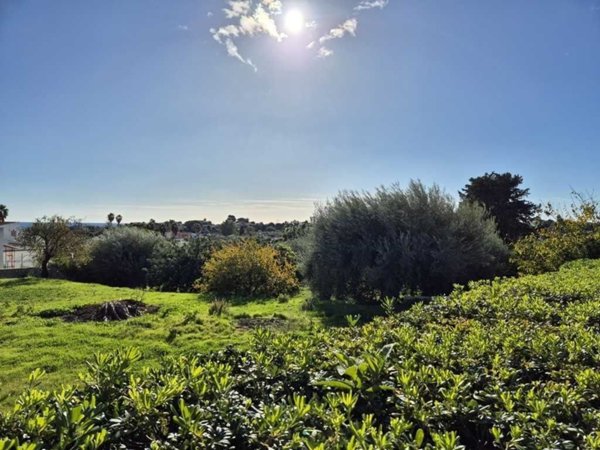terreno agricolo in vendita ad Avola