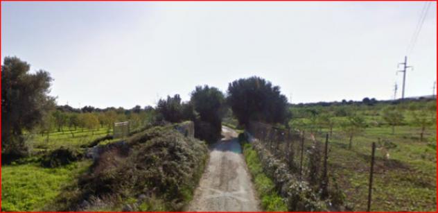 terreno agricolo in vendita ad Avola