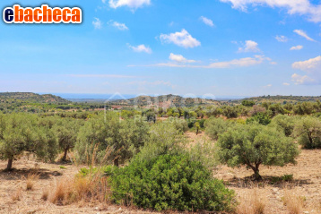 terreno agricolo in vendita ad Avola