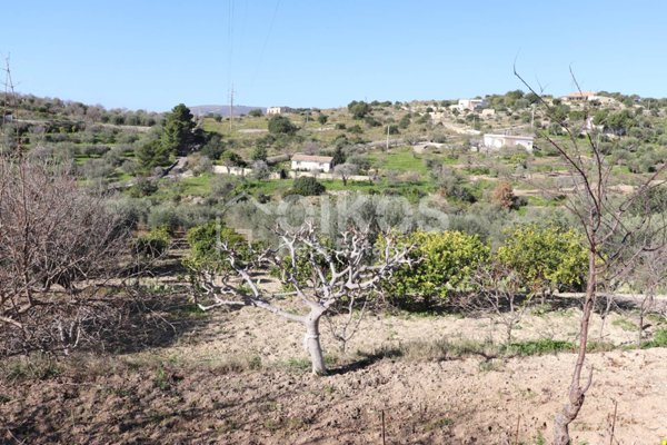 casa indipendente in vendita ad Avola