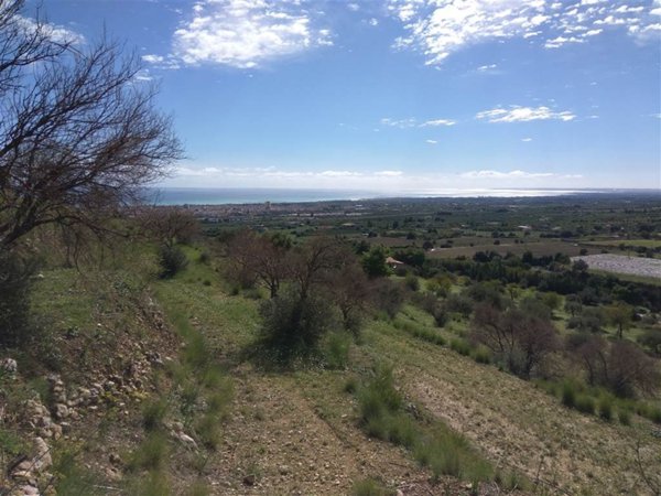terreno agricolo in vendita ad Avola
