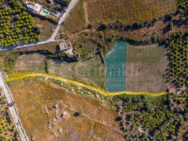 terreno agricolo in vendita ad Avola