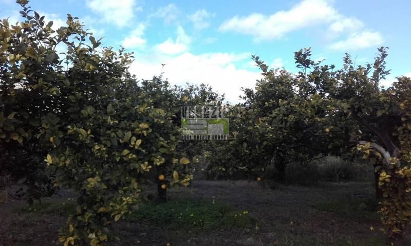 locale di sgombero in vendita ad Avola