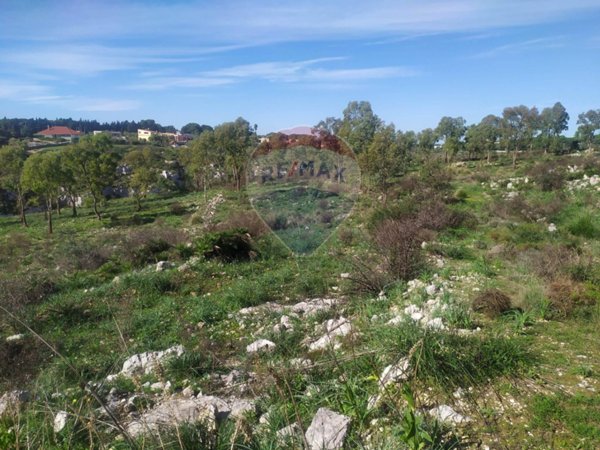 terreno agricolo in vendita ad Avola