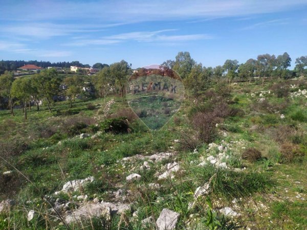 terreno agricolo in vendita ad Avola