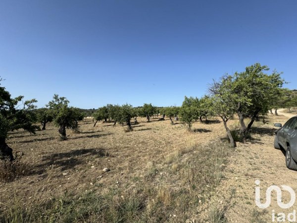 terreno agricolo in vendita ad Avola