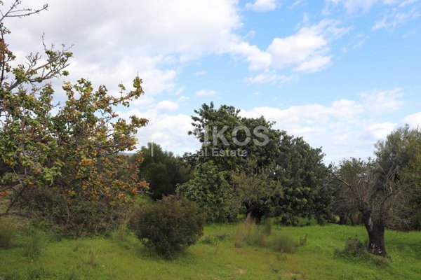 terreno agricolo in vendita ad Avola