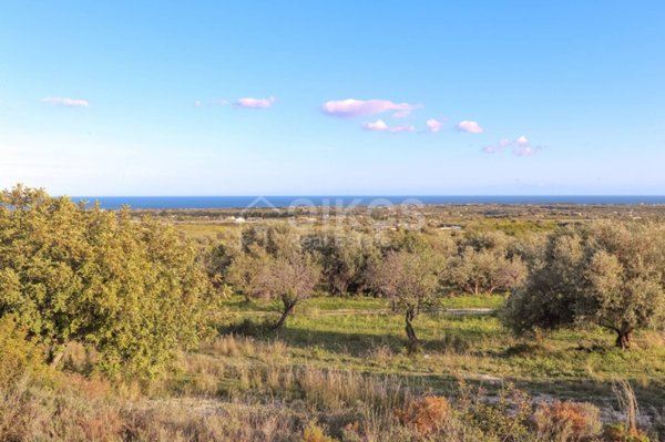 terreno agricolo in vendita ad Avola