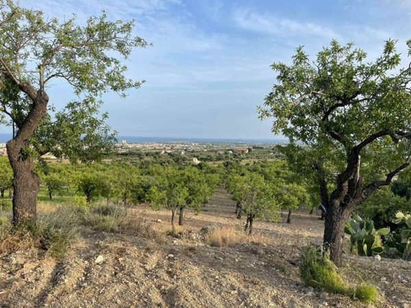 terreno agricolo in vendita ad Avola