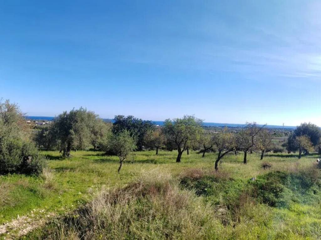 terreno agricolo in vendita ad Avola