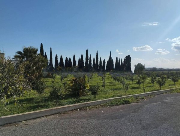 casa indipendente in vendita ad Avola