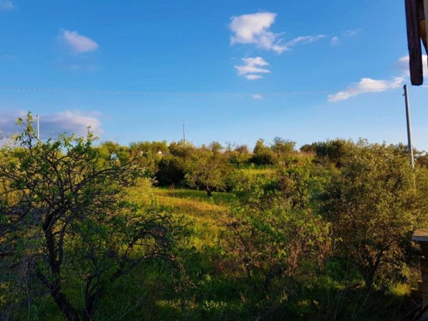 terreno agricolo in vendita ad Avola
