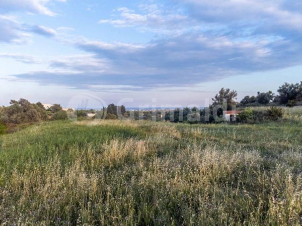terreno agricolo in vendita ad Avola