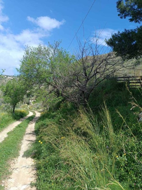 terreno agricolo in vendita ad Avola