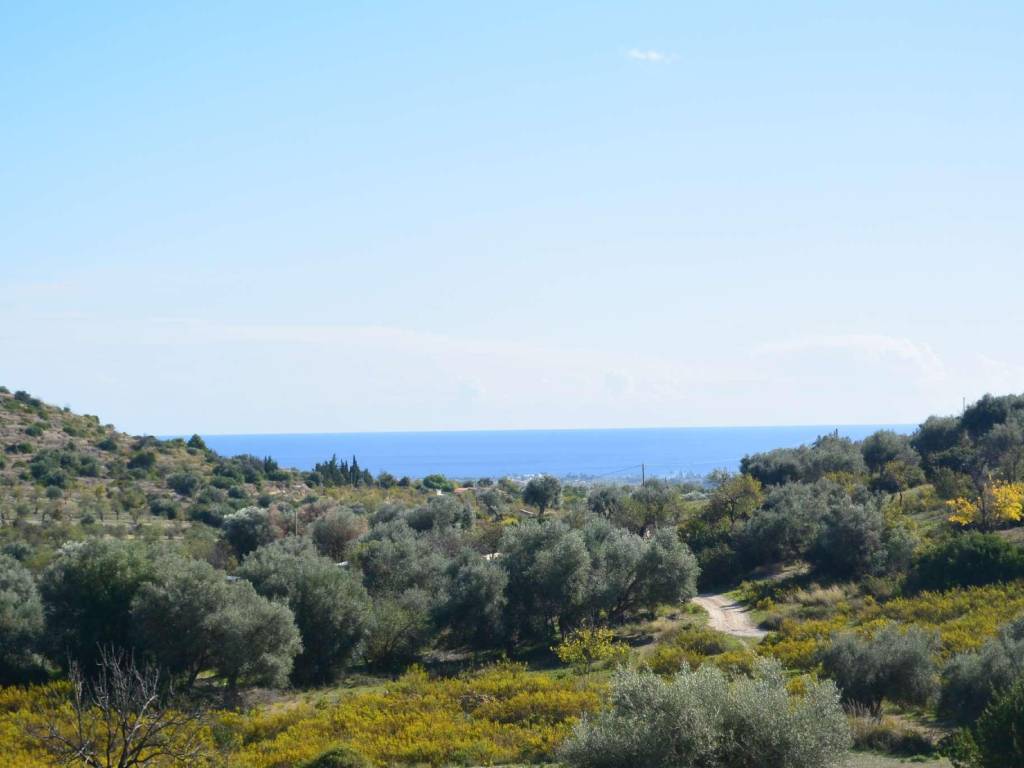 terreno agricolo in vendita ad Avola