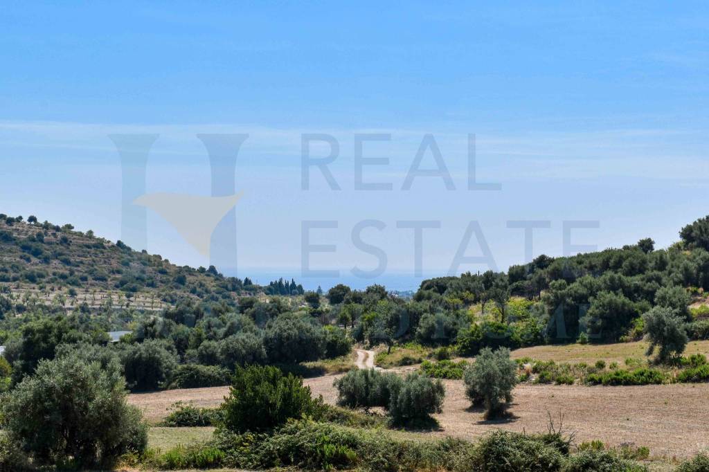 terreno agricolo in vendita ad Avola
