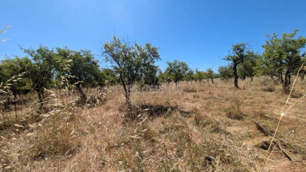 terreno agricolo in vendita ad Avola