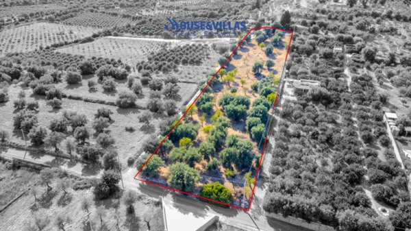 terreno agricolo in vendita ad Avola