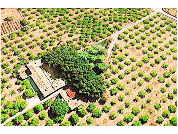 casa indipendente in vendita ad Avola