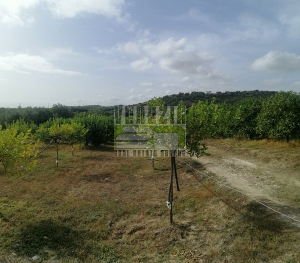 terreno agricolo in vendita ad Avola
