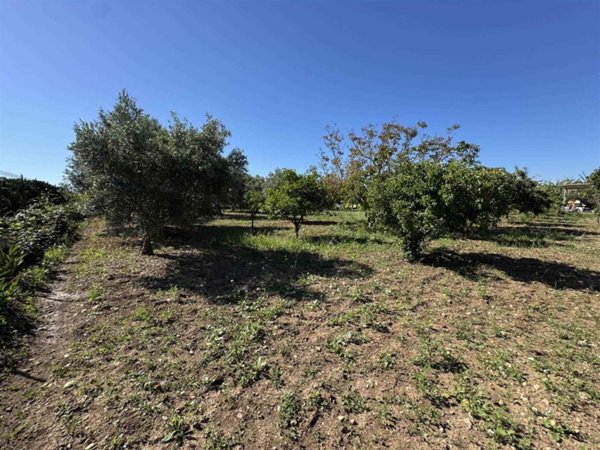 terreno agricolo in vendita ad Avola