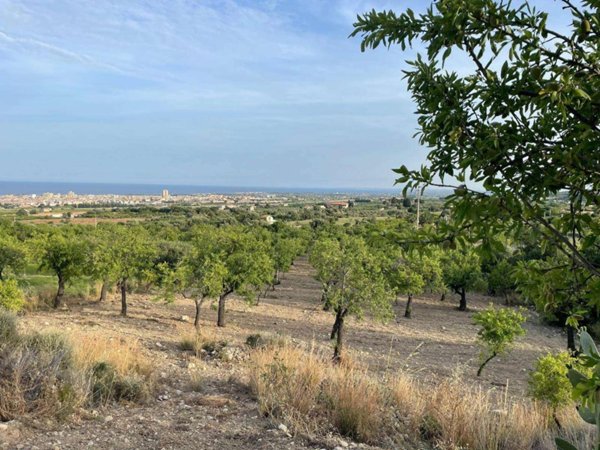terreno agricolo in vendita ad Avola