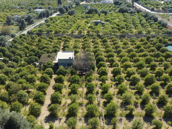 terreno agricolo in vendita ad Avola