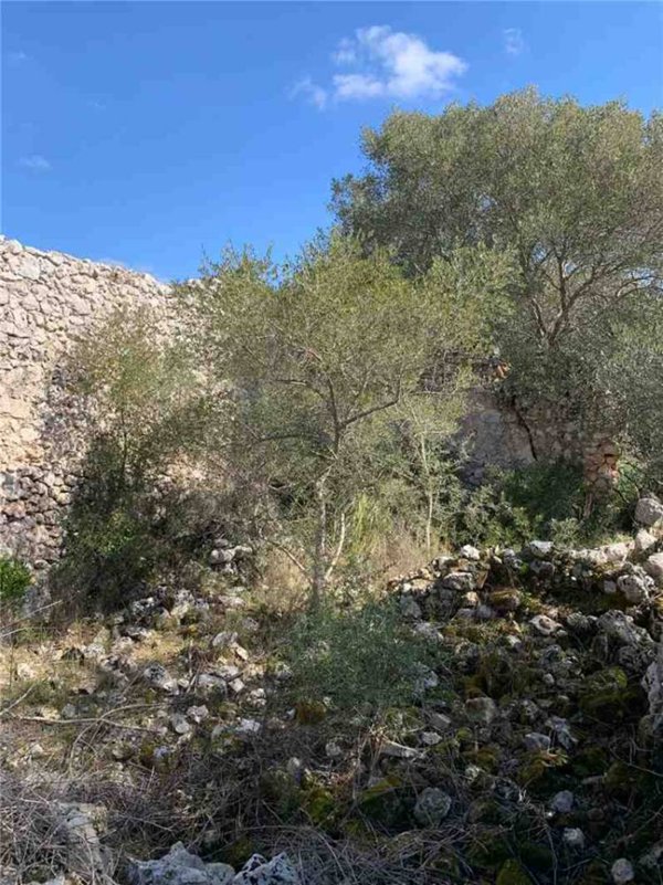 terreno edificabile in vendita ad Avola