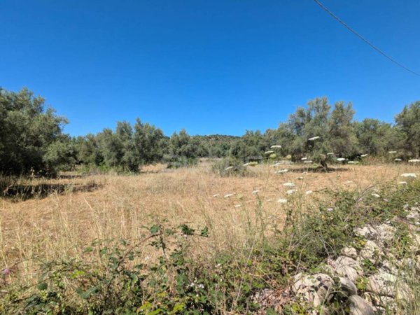 terreno agricolo in vendita ad Avola