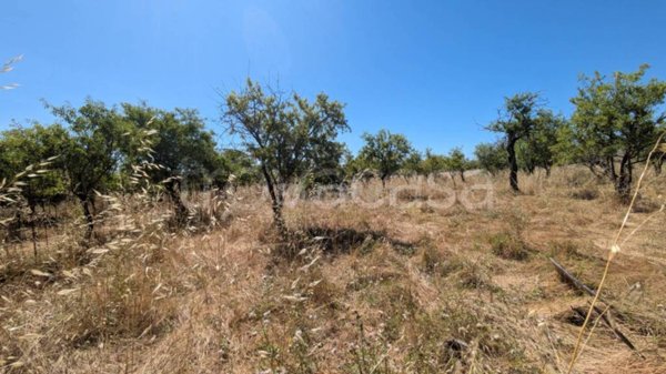 terreno agricolo in vendita ad Avola