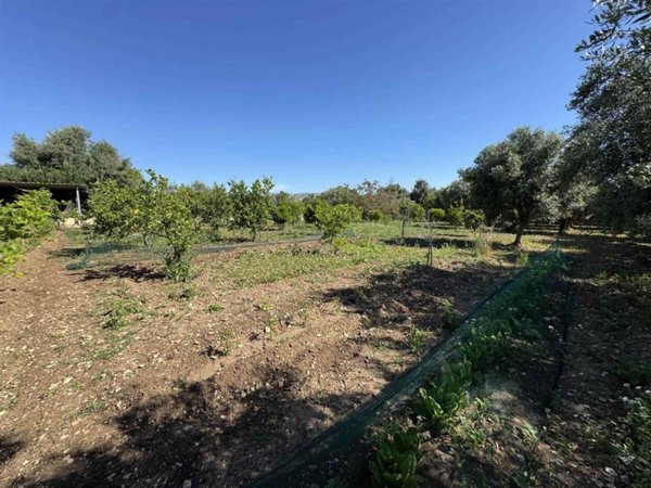 terreno agricolo in vendita ad Avola