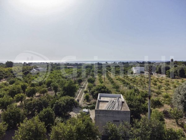 terreno agricolo in vendita ad Avola