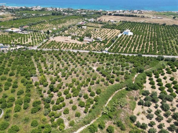 terreno agricolo in vendita ad Avola