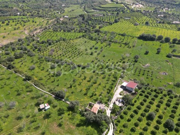azienda agricola in vendita ad Avola