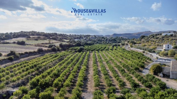 terreno agricolo in vendita ad Avola