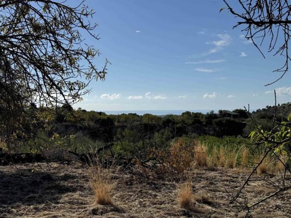 terreno agricolo in vendita ad Avola