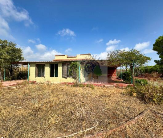 immagine annuncio 0 di 5