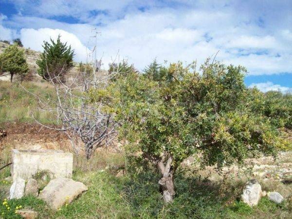 terreno agricolo in vendita ad Avola