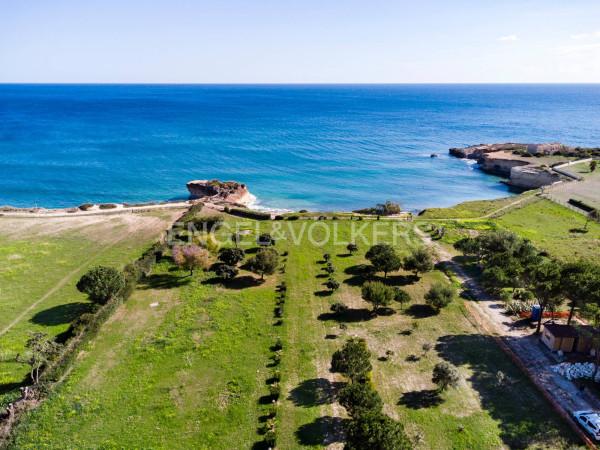 negozio in vendita ad Avola