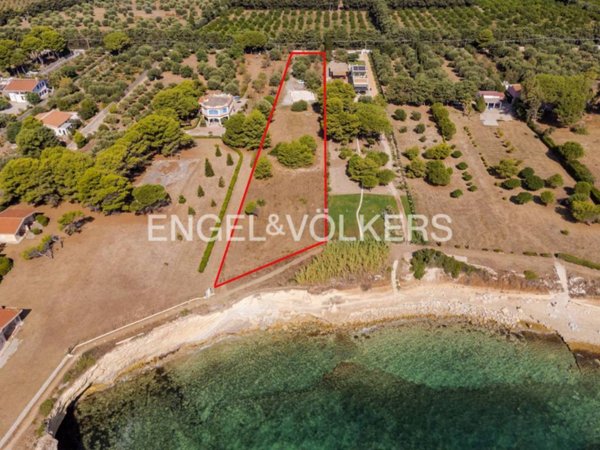 terreno agricolo in vendita ad Avola in zona Gallina