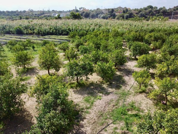 terreno agricolo in vendita ad Avola