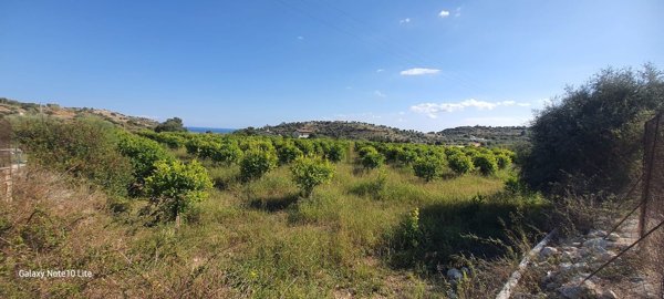 terreno agricolo in vendita ad Avola