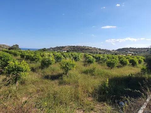 terreno agricolo in vendita ad Avola